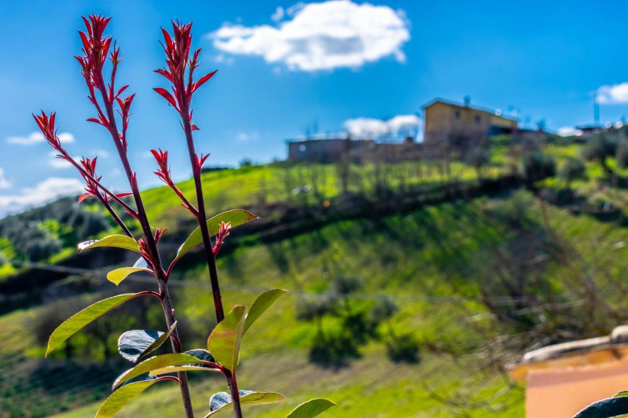 Bed and Breakfast La Casa Del Nonno Spoltore Exterior foto