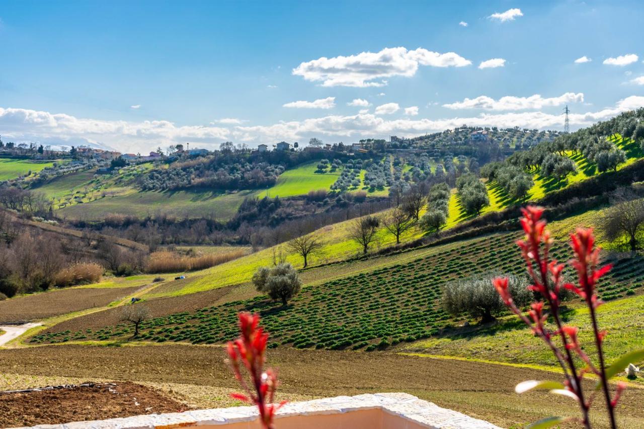 Bed and Breakfast La Casa Del Nonno Spoltore Exterior foto